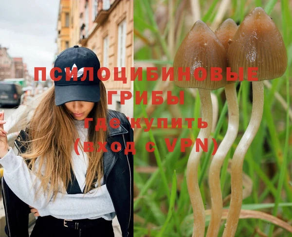 хмурый Белоозёрский