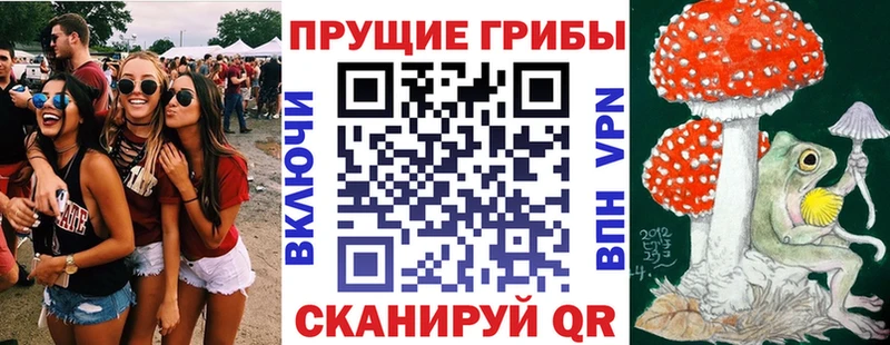 Купить где  Володарск  Псилоцибиновые грибы Psilocybine cubensis 